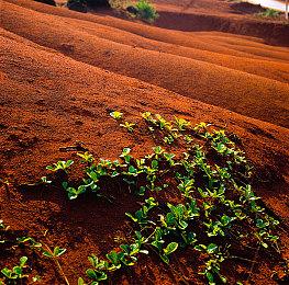 《机甲战魔 神话之裔》试玩版现已上线！最新预告片和游戏情报公开！
